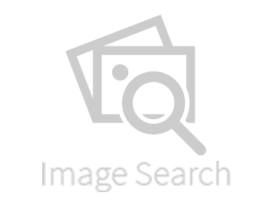 imageSearch